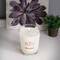 Root Candles 10.5oz. Large Scented Honeycomb Veriglass Jar Candle